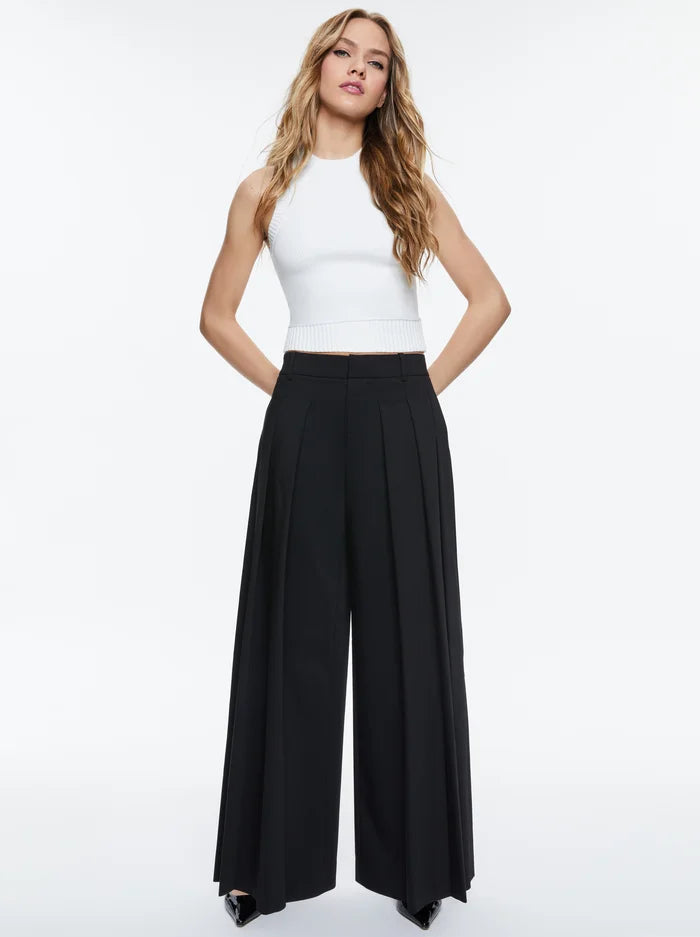 Blaire Wide Leg Pleated Pant in Black