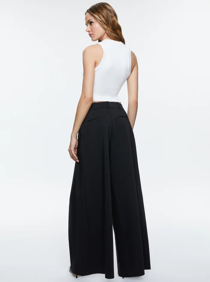 Blaire Wide Leg Pleated Pant in Black