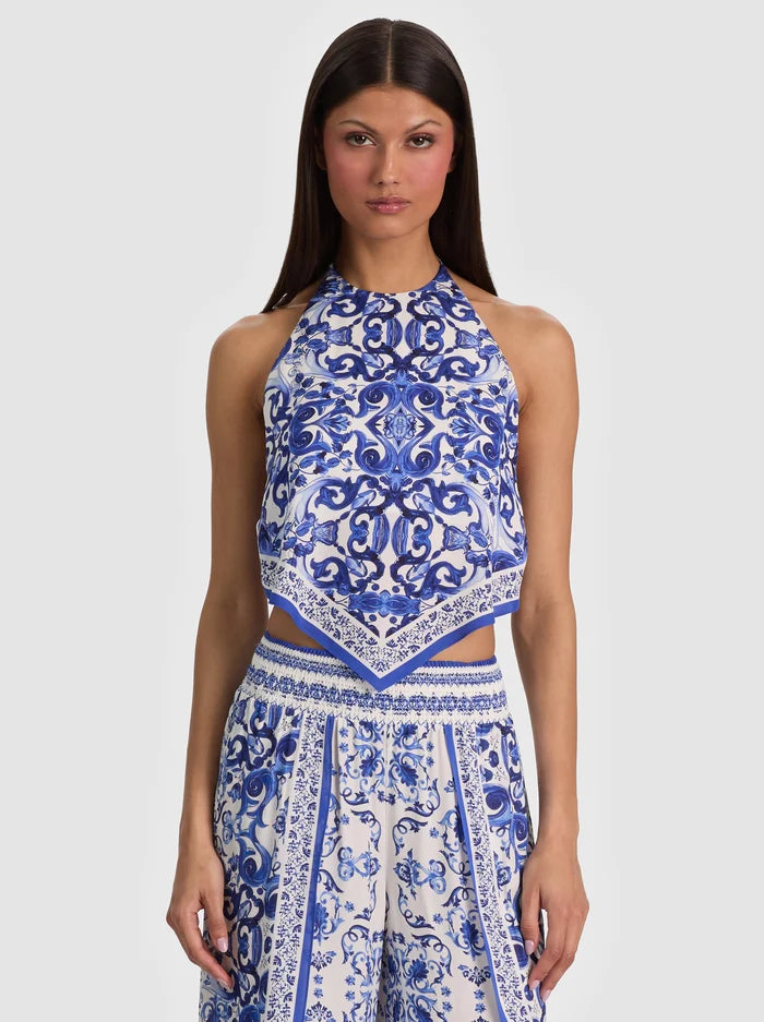 Frenchie Handkerchief Halter in Solstice