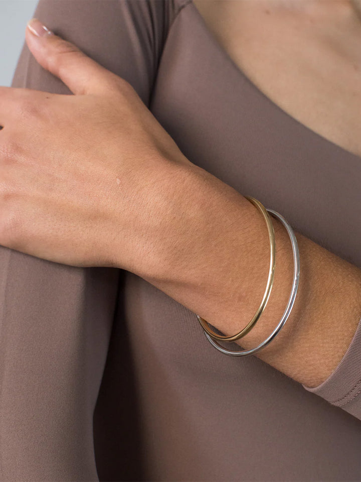 Dane Bangle Set of 2 in Two Tone