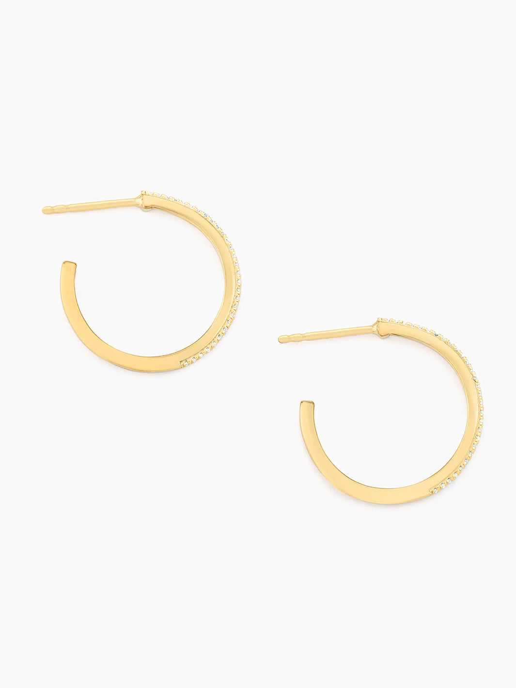 A Hoop Thing Hoop Earrings in Gold