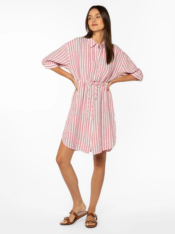 Jenneva Dress in Pink Stripe