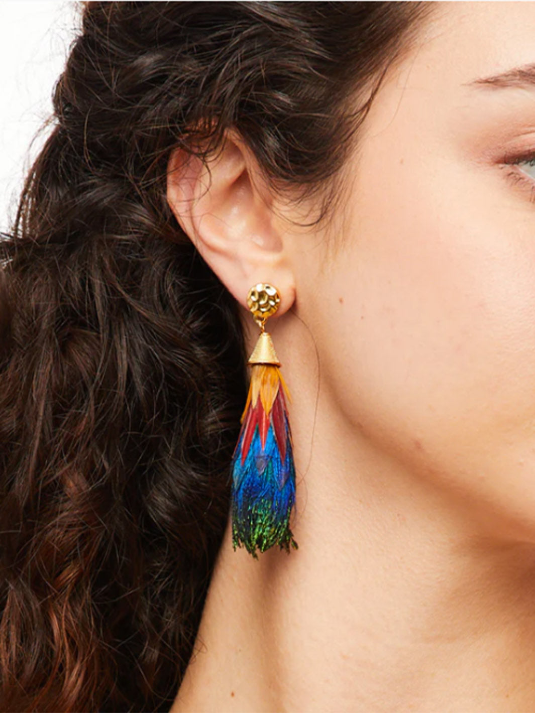 Leigh Feather Statement Earrings in Gold