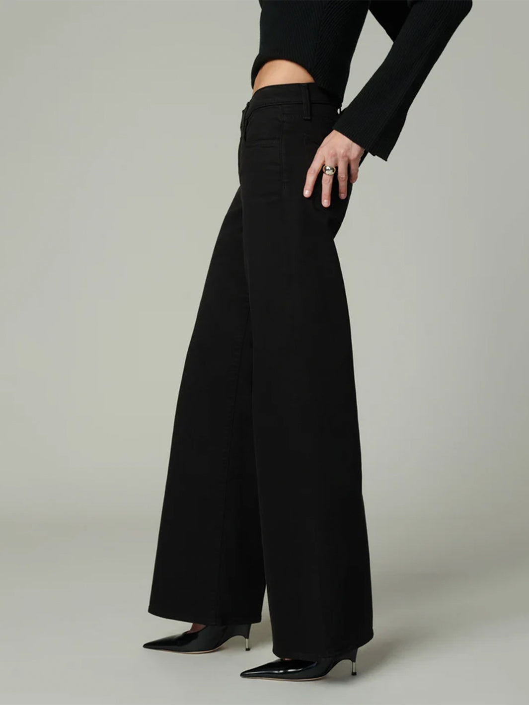 The Lou Lou Low Rise Wide Leg Jean in Black