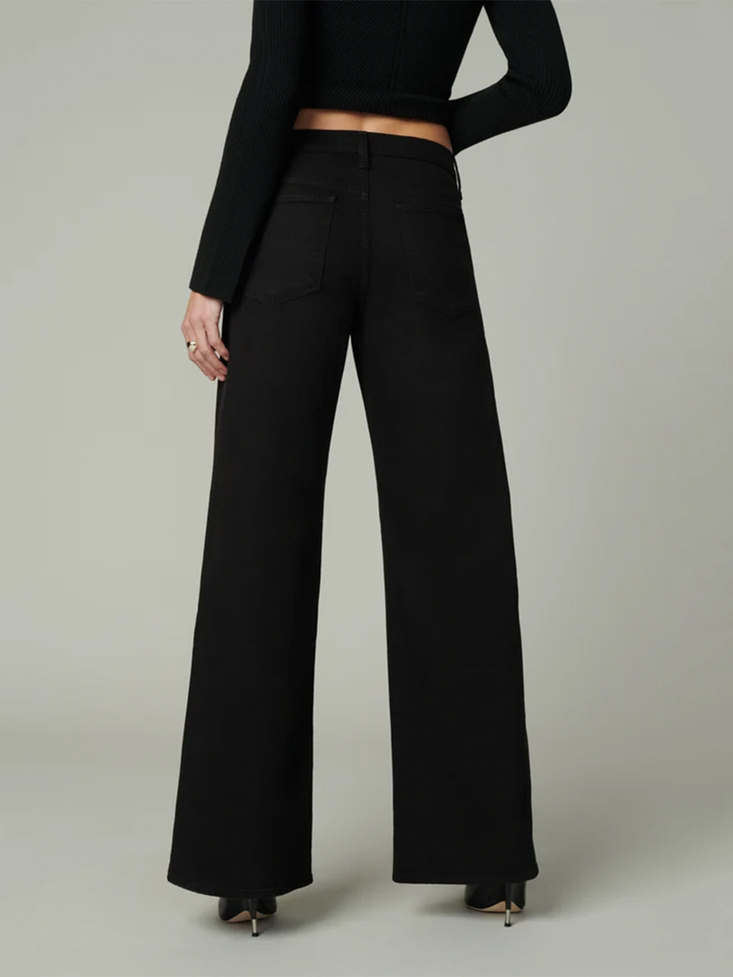 The Lou Lou Low Rise Wide Leg Jean in Black