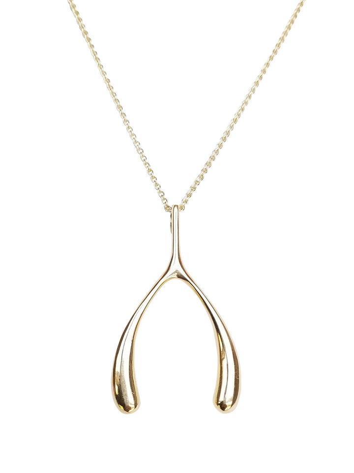 LUCKY Gold Wishbone Pendant and Chain in Gold
