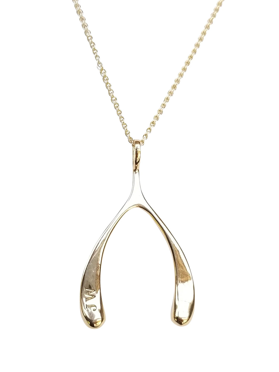 LUCKY Gold Wishbone Pendant and Chain in Gold