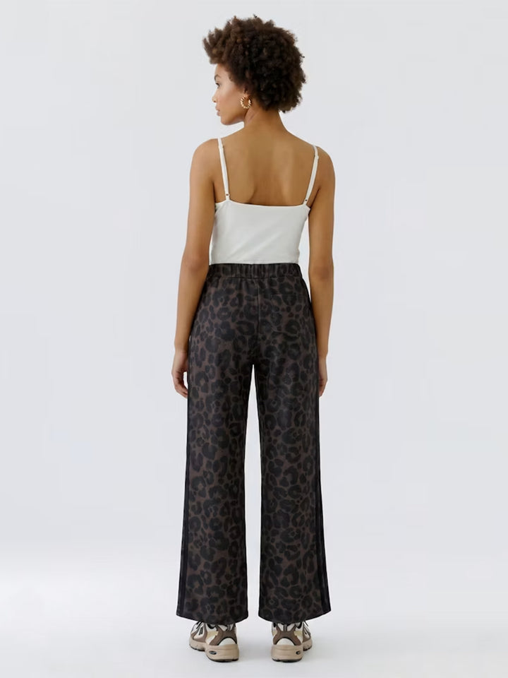 Pants in Dark Brown/Grey