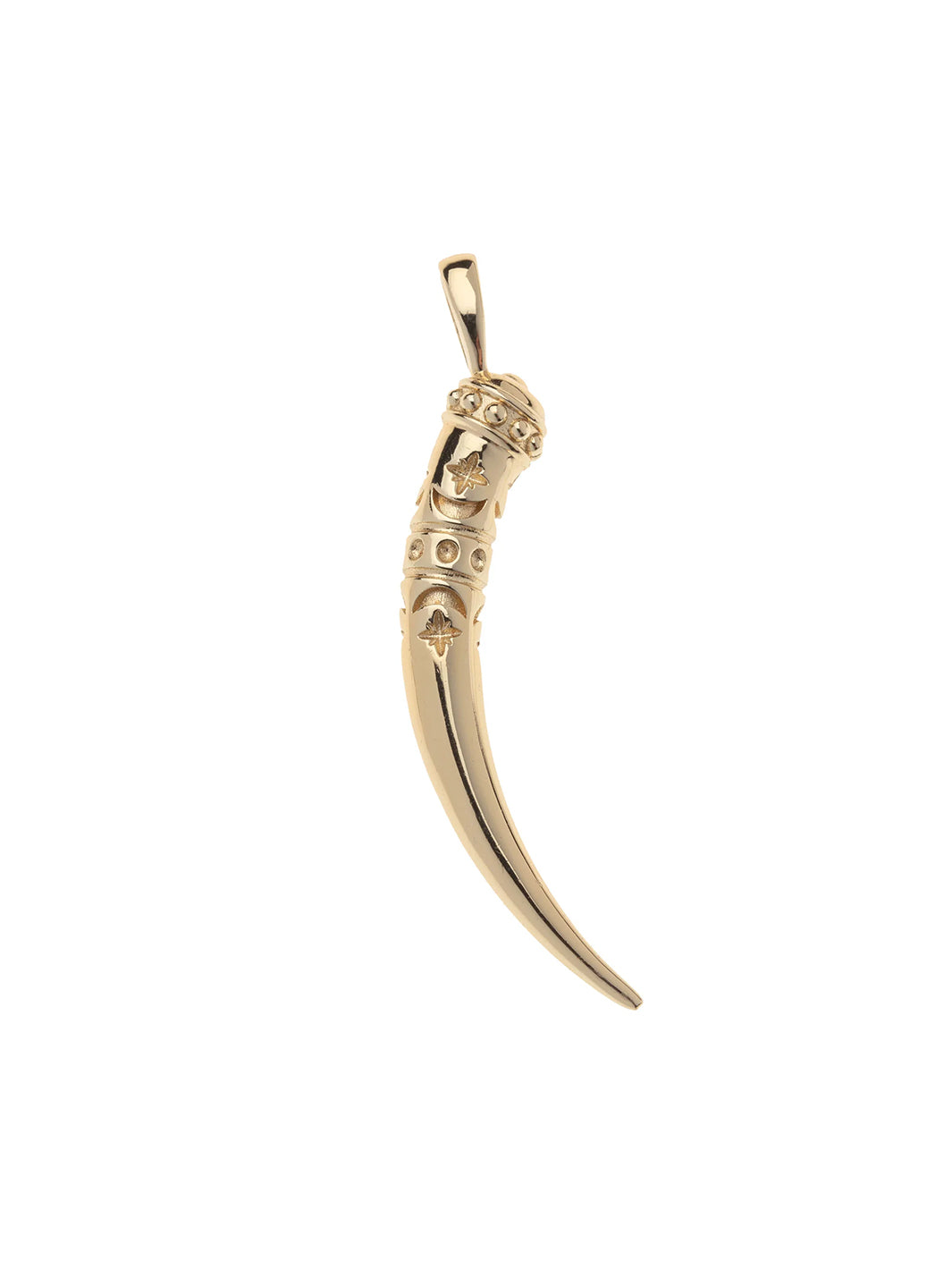 PROTECT Large Tusk Pendant and Adjustale Chain in Gold