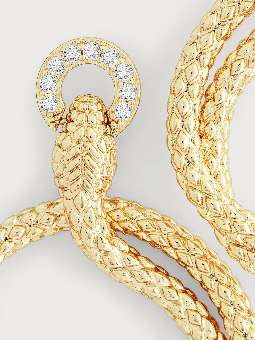 Serpent Holding Ring Hoop Earrings